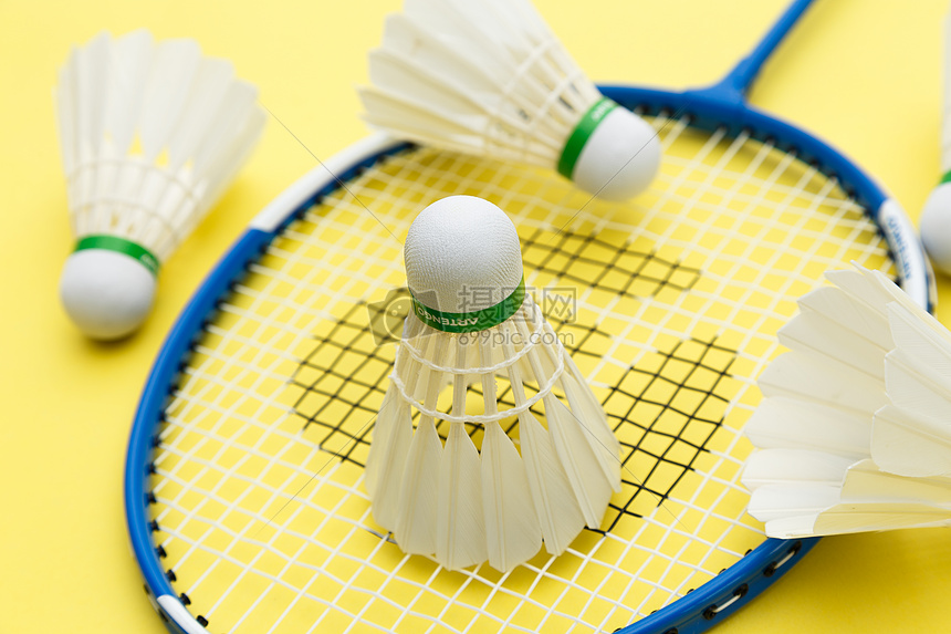 纷呈的NB 纷呈的NB