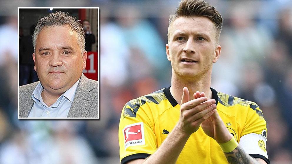 和简版数据 和简版数据